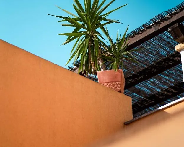 Auberge de jeunesse Backpackers Zadar