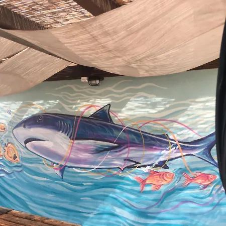 Backpackers 호스텔