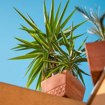 Backpackers * 자다르