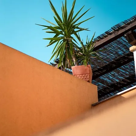 Hostel Backpackers Ζαντάρ